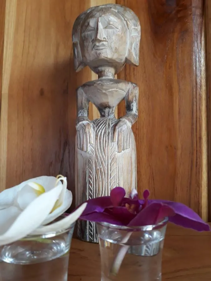 Guest house Ganesh Villa Ubud