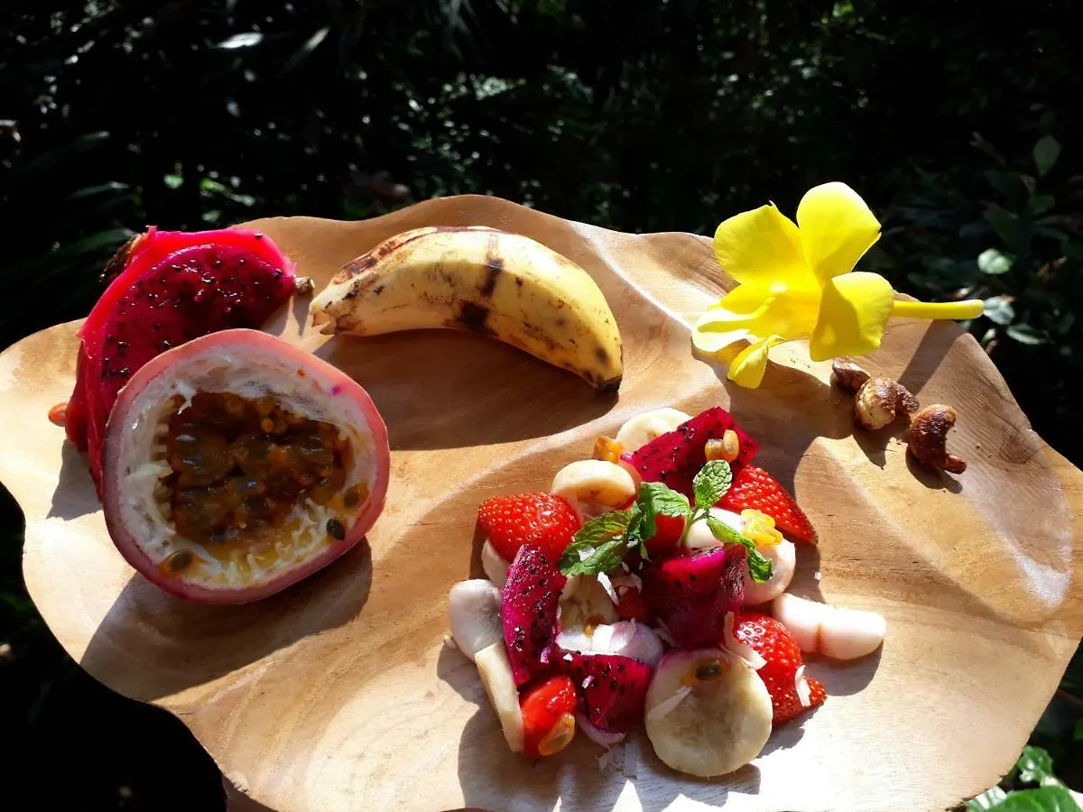 Ganesh Villa Ubud  Guest house